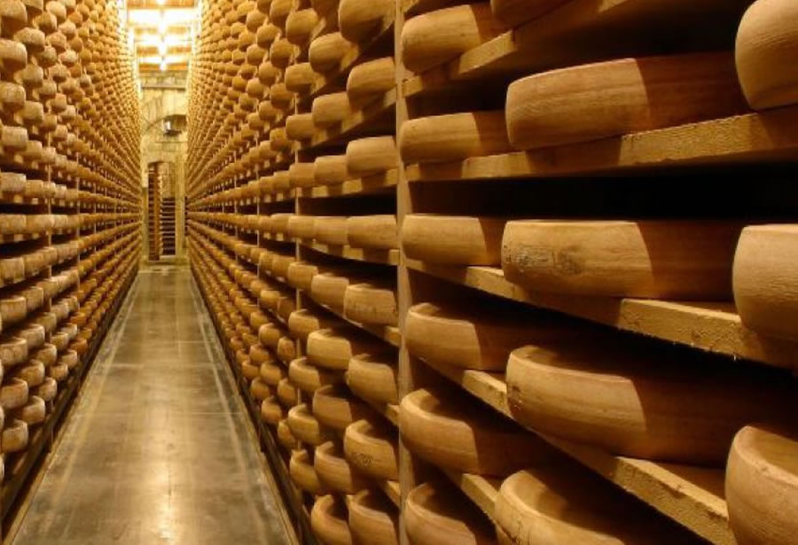 Le comté un fromage incontournable