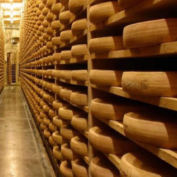 Le comté un fromage incontournable